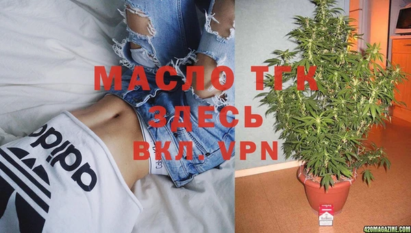 СК Кукмор