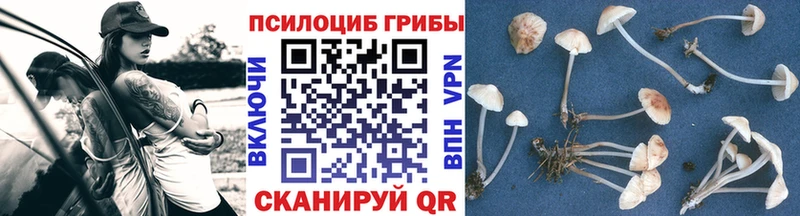 Купить где  Нестеров  Галлюциногенные грибы прущие грибы 